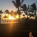 Tammy Grey Bradley - @tmbeach13 - Instagram