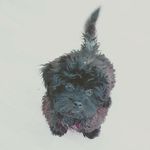 Tammy Grey Schoch - @tammy_grey20 - Instagram