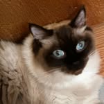 Tammy Grigg - @tammy_grigg - Instagram