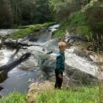 Tammy Grimley - @grimley.tammy - Instagram