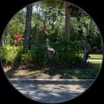 Tammy Grimm - @tegrimm6365 - Instagram