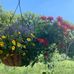 Tammy Grimm Photography - Facebook