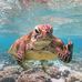 Tammy Grimsley - Facebook