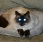 Tammy Grimsley - Facebook
