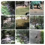 Tammy Grindle - @tammygrindle32 - Instagram