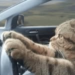 Tammy Grindle - @grindle6811 - Instagram