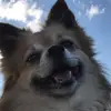 tammygrove476 - @tammygrove476 - TikTok