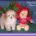 Tammie Guin - Facebook