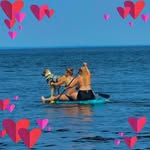 Tammy Guindon - @tammy.guindon - Instagram