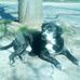 Tammy Gumm - Facebook