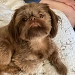 Tammy Gunter - Facebook