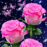 Tammy Guyette - @tamguy666 - Instagram