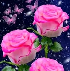 Tammy Guyette - Facebook
