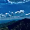 Tammy Thacker Cox - @tammy.thacker.cox - TikTok