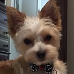 Tammy Hahn-Brown - @tammyhahnbrown - Instagram
