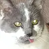 tammyhakes509 - @tammyhakes509 - TikTok