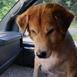 Tammy Hutton Hallmark - @hallmarktammy123 - Instagram