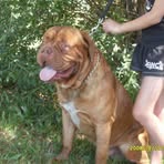 Tammy Hard - Facebook