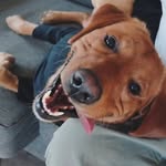 Tammy Harder - @tammyharder123 - Instagram