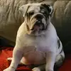 tammyhardt2 - @tammyhardt2 - TikTok