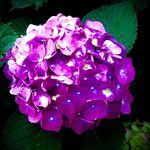 Tammy Harder - @tammy.harder.733 - Instagram