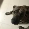 Tammy - @tammyharder0 - TikTok