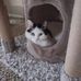 Tammy Hardman - Facebook