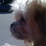 Tammy Hardman - @tammy.hardman.5 - Instagram