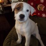 Tammy Hardman - @tammyhardman2875 - Instagram
