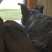 Tammy Hardwick - Facebook