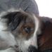 Tammy Hardwick - Facebook