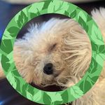 Tammy Hardwick - @jt467706 - Instagram