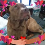 Tammy Harless - Facebook