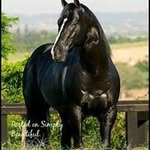 Tammy Harless - @tammy.harless - Instagram