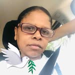 Tammy Hart Hines - @tammyharthines - Instagram