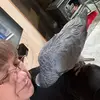 TammyH - @tammyhart20 - TikTok