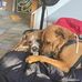 Tammy Hartmann - Facebook