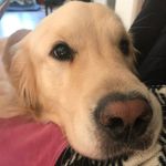Tammy Hartmann - @tammyleehartmann - Instagram
