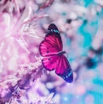 Tammy D Hartz - Facebook