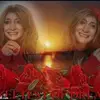 Tammy Hartz - @tammyhartz - TikTok