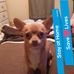 Tami Harwell - Facebook