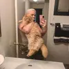 tammyharwell64 - @tammyharwell64 - TikTok