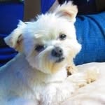 Tammy Hass - @tammy28352 - Instagram
