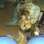 Tammy Hassett - @hassetttammy - Instagram