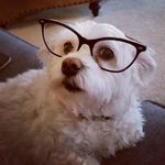 Tammy L Hatter - @tammylhatter95 - Instagram