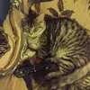 Tammy - @tammyhaug2 - TikTok