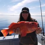 Tammy Lynn Heaps - @heapstammy - Instagram