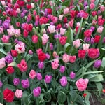 Tammy Bogert Heiser - @tammybogertheiser - Instagram