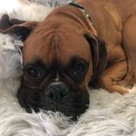 Tammy Helms - @tammy_helms - Instagram