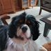 Tammy Helms - Facebook
